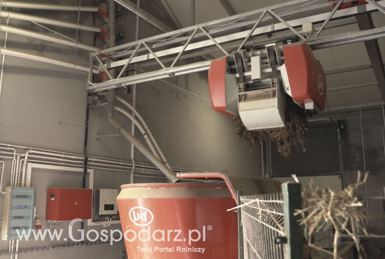 Żywienie krów mlecznych bez paszowozu