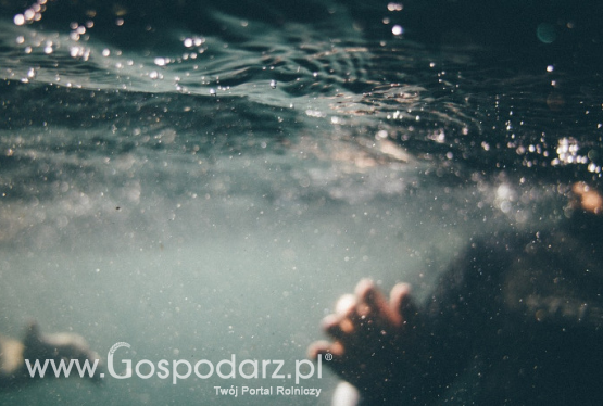 Bezpieczne dziecko to świadome dziecko