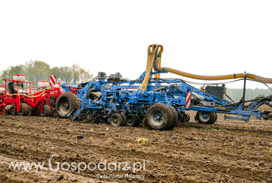 Stawki dopłat do materiału siewnego