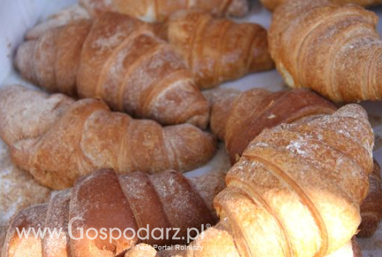 Spożycie przetworów zbożowych