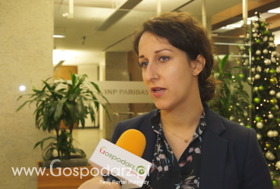 2017 nie był łatwym rokiem dla producentów drobiu