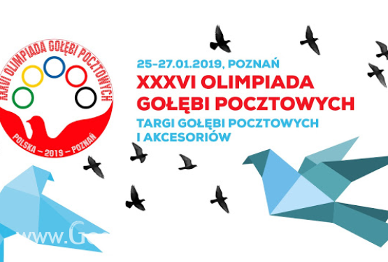 Święto hodowców gołębi będzie trwało od piątku do niedzieli