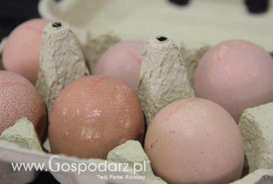 Ceny jaj spożywczych w Polsce (13.06.2021)