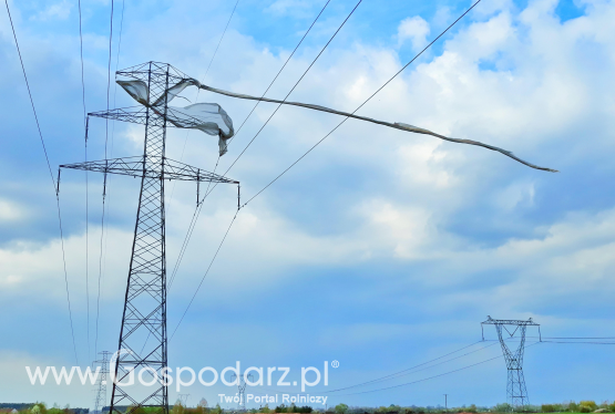 Ostrożnie z agrowłókniną