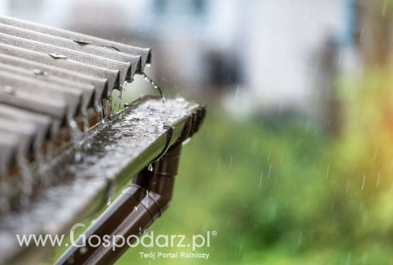 NCBR na froncie walki z suszą. Startuje przedsięwzięcie „Technologie domowej retencji”