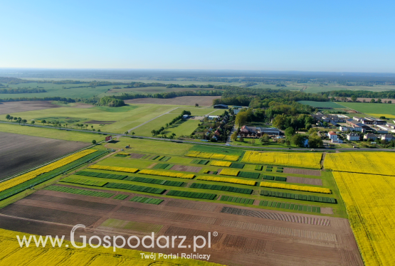 „Krajowe Dni Pola” w 2021 roku po raz drugi  w Kujawsko-Pomorskim Ośrodku Doradztwa Rolniczego w Minikowie