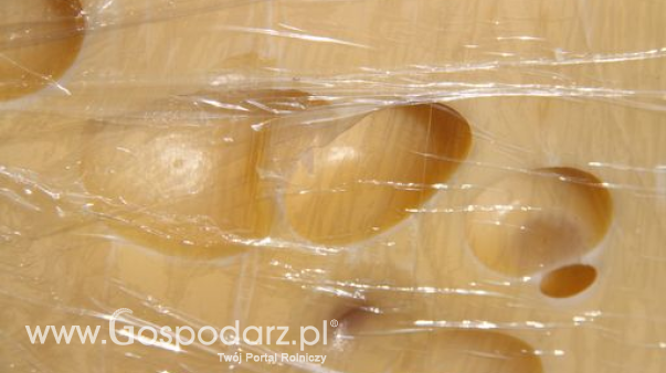 Ceny serów w Polsce (07.04.2024)