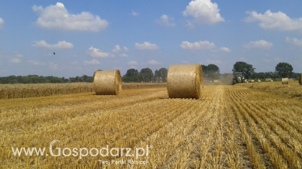 Żniwa 2026 zakończone. Zboża uprawiano na 6,9 mln ha