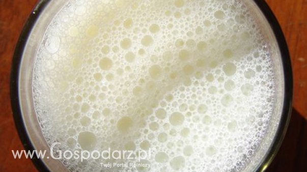 Ceny produktów mlecznych w Polsce (23.11.2025)