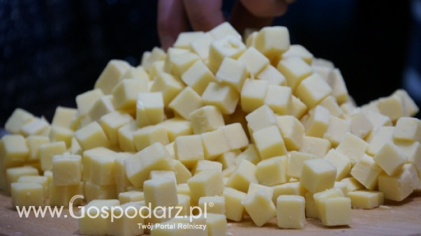 Ceny serów w Polsce (17.03.2024)