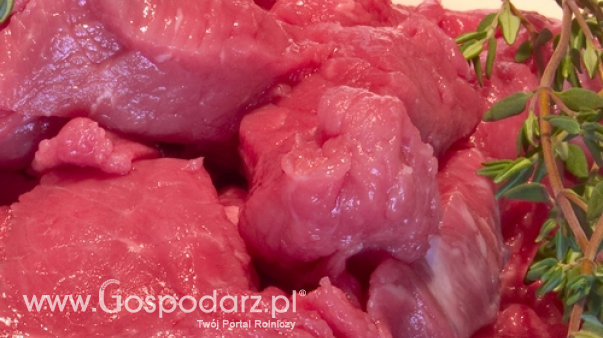 Ceny mięsa wieprzowego, wołowego i drobiowego (19.05.2024)