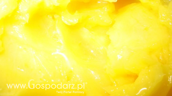 Ceny produktów mlecznych w Polsce (30.11.2025)