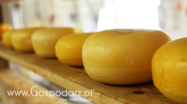 Ceny serów w Polsce (11.05.2025)