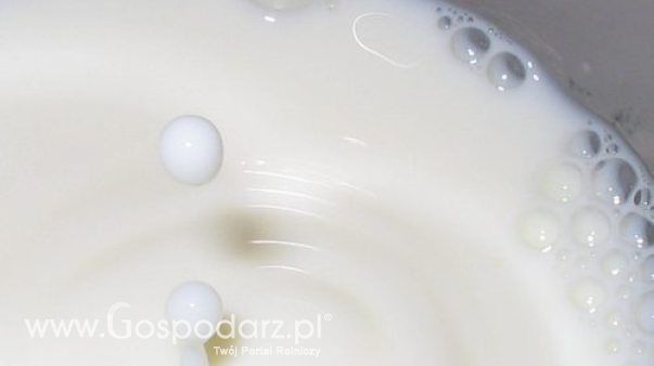Ceny przetworów mlecznych w Polsce (6.04.2025)