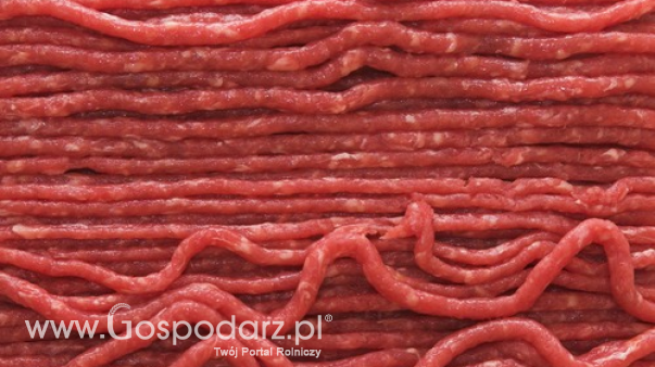 Ceny mięsa wieprzowego i drobiowego (8.12.2024)