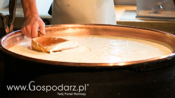 Ceny serów w Polsce (25.08.2024)
