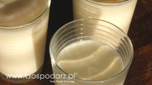 Ceny produktów mlecznych w Polsce (8.02.2026)
