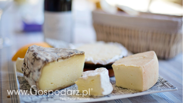 Ceny serów w Polsce (21.12.2025)