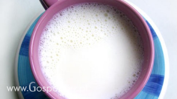 Ceny netto skupu mleka surowego według GUS w listopadzie 2024 r.