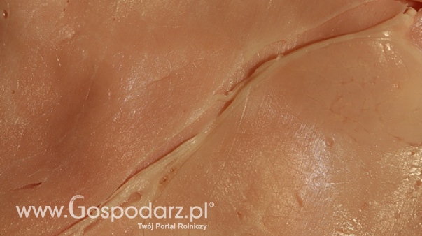 Ceny mięsa wieprzowego i drobiowego (20.04.2025)