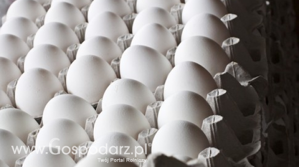 Ceny jaj w Polsce (6.04.2025)