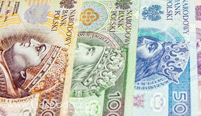 Wyższa kwota premii dla młodych rolników na produkcję zwierzęcą, także dla ubiegających się o pomoc w naborze z 2025 r. - sprawdź warunki