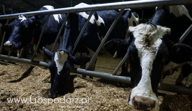 Kolejne ułatwienie w IRZplus - samodzielne generowanie informacji o DJP