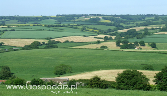 KOWR nie podnosi stawek dzierżawy - obowiązują zasady określone w ustawie