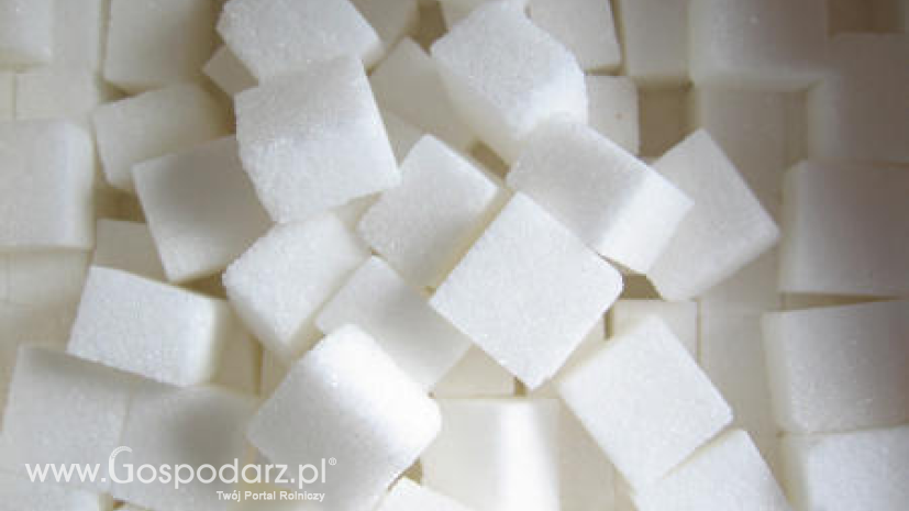 Deficyt na światowym rynku cukru większy niż przewidywano