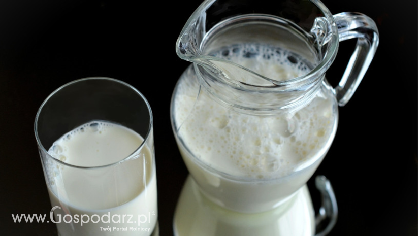 Rynek produktów mleczarskich w Polsce (08.05.2022)