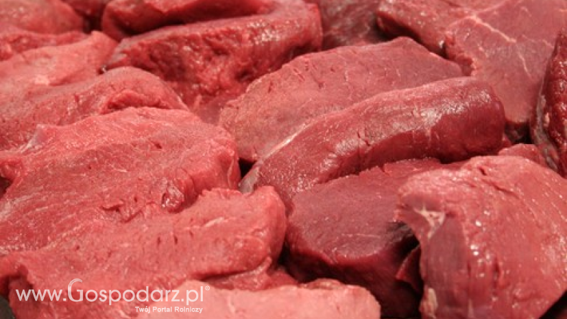 Eksport wołowiny z UE wzrósł o 15%. Największą dynamiką wzrostu wysyłki charakteryzowała się Polska