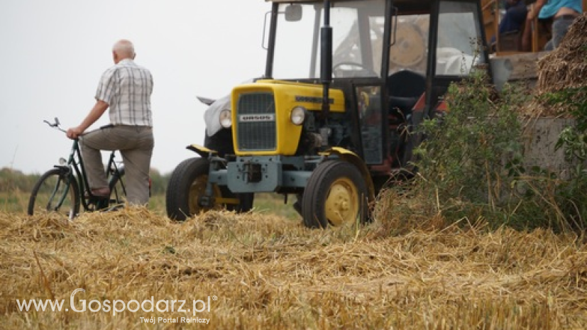 GUS: Polska produkcja rolnicza skurczyła się o 4%