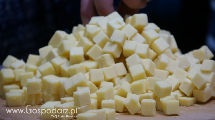 Rynek produktów mleczarskich w Polsce (06.02.2022)