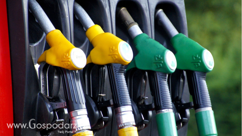 Ceny na stacjach paliw wzrosły o 1-1,5 zł/l w ciągu tygodnia