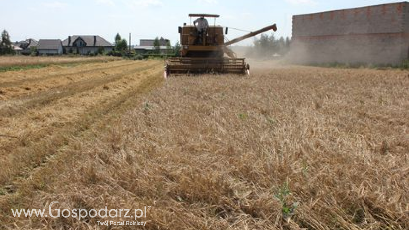 Produkcja zbóż na świecie wyniesie 2 046 mln ton