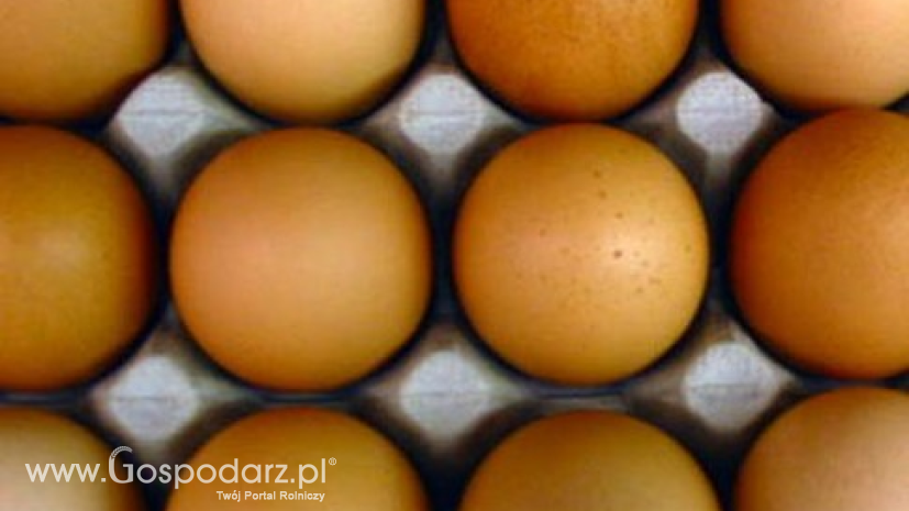 Ceny kurcząt całych i jaj konsumpcyjnych w UE i Polsce (4.07.2016)