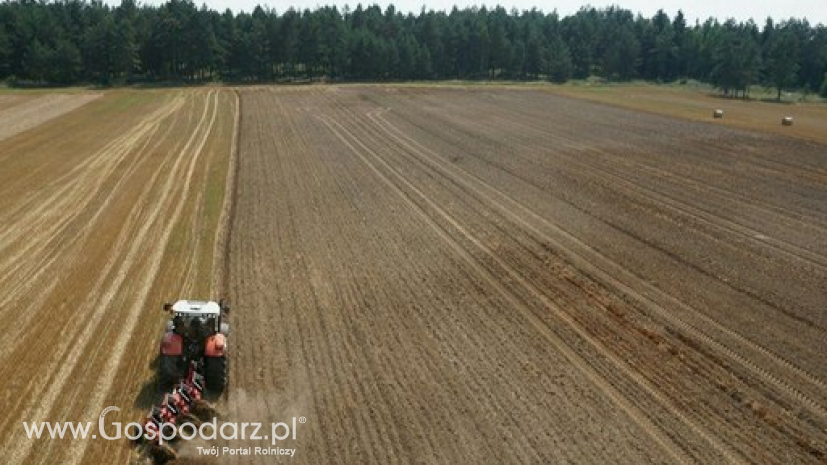 Polscy rolnicy gospodarują na 14,5 mln ha. Liczba gospodarstw sięga 1,4 mln