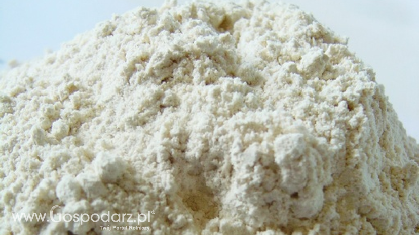 Eksport polskiej mąki do Chin