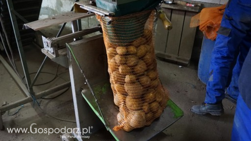 Ceny ziemniaków w Polsce (09.01.2022)