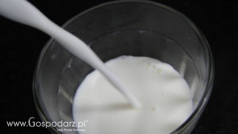 Zwyżkowy trend produkcji mleka