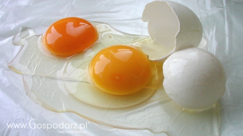 Wzrosły ceny wszystkich klas jaj w Polsce