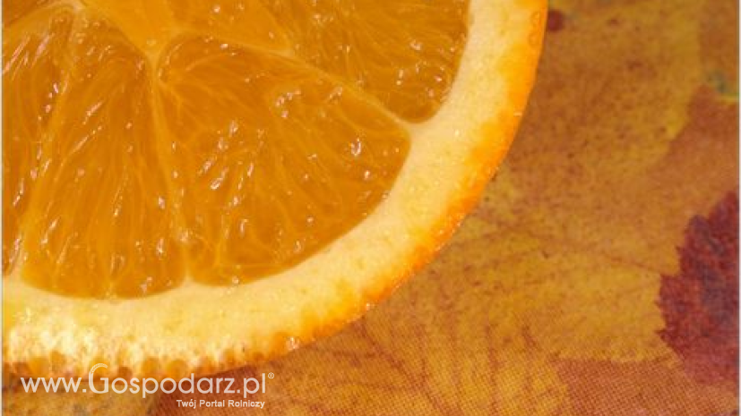 Zbiory pomarańczy spadną o 3 mln ton do niespełna 46 mln ton