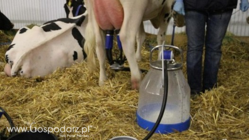 Koniec I transzy wniosków dot. zmniejszenia produkcji mleka w Unii