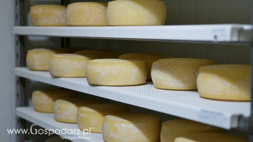 Unijny eksport sera wzrośnie pierwszy raz od nałożenia rosyjskiego embarga