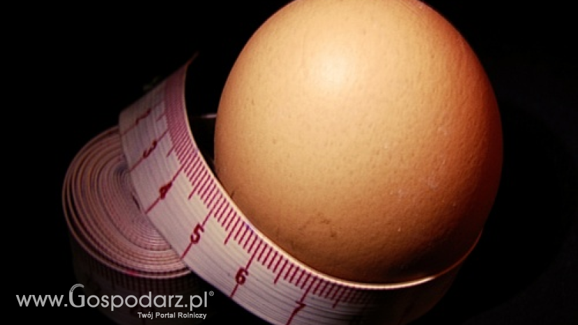MRiRW odpiera zarzuty dotyczące jaj z Polski