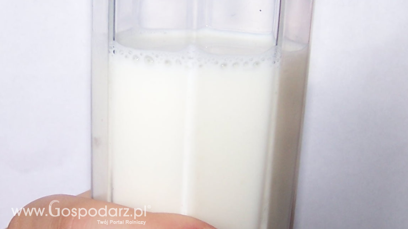 IERiGŻ: Ceny artykułów mlecznych są wyraźnie mniejsze niż przed rokiem