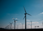 OZE w Zielonych Płucach Polski – dynamiczny wzrost energii odnawialnej