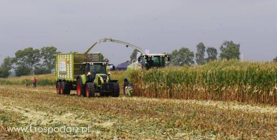 USDA oszacował globalne zbiory zbóż na 2 476 mln ton