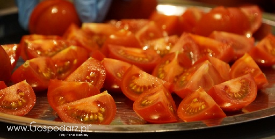 Pomidory dobre z natury. Rusza 3-letnia kampania informacyjno-promocyjna