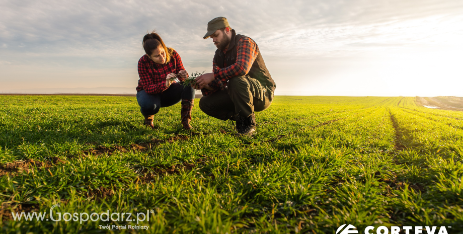Corteva Agriscience finalizuje umowę przejęcia Stoller Group, jednej z największych firm biologicznych w branży